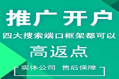 百度推广托管实战案例深度分析